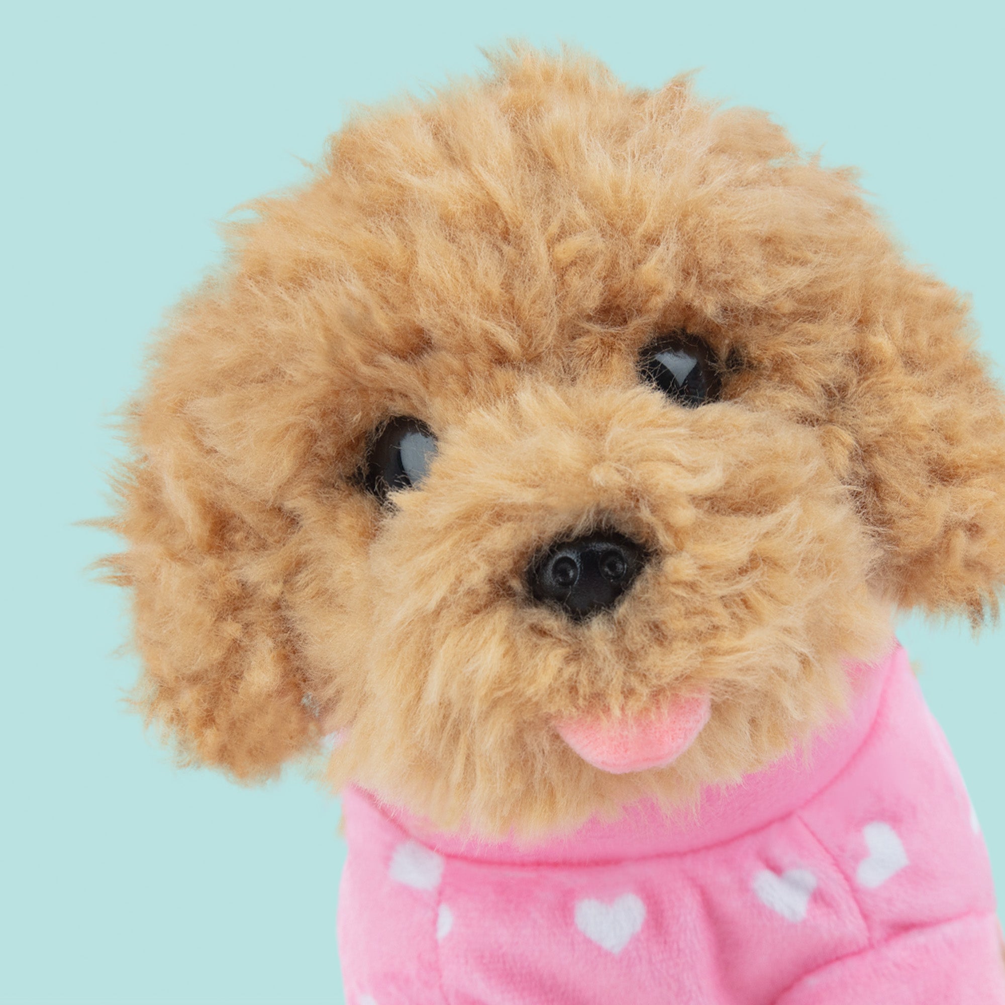 Cookie (23cm)