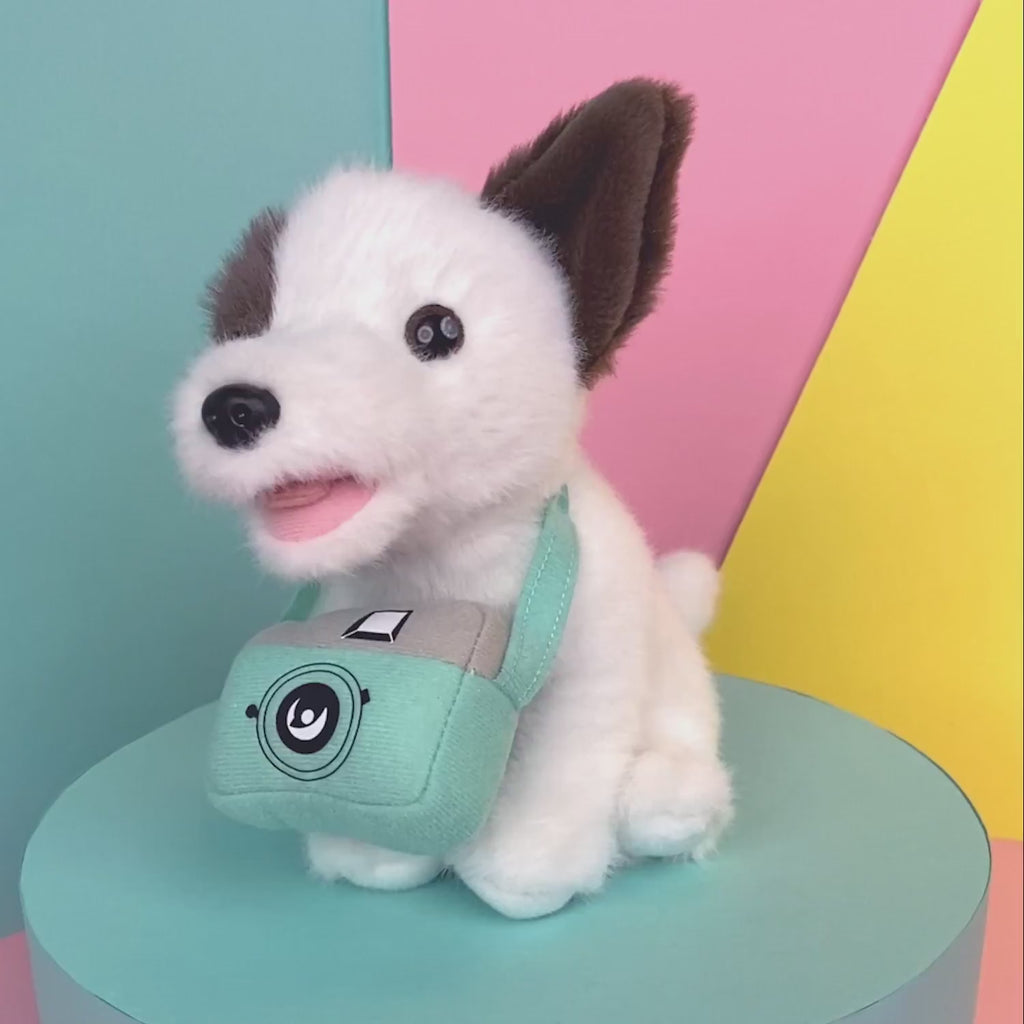 Muttsy (16cm)
