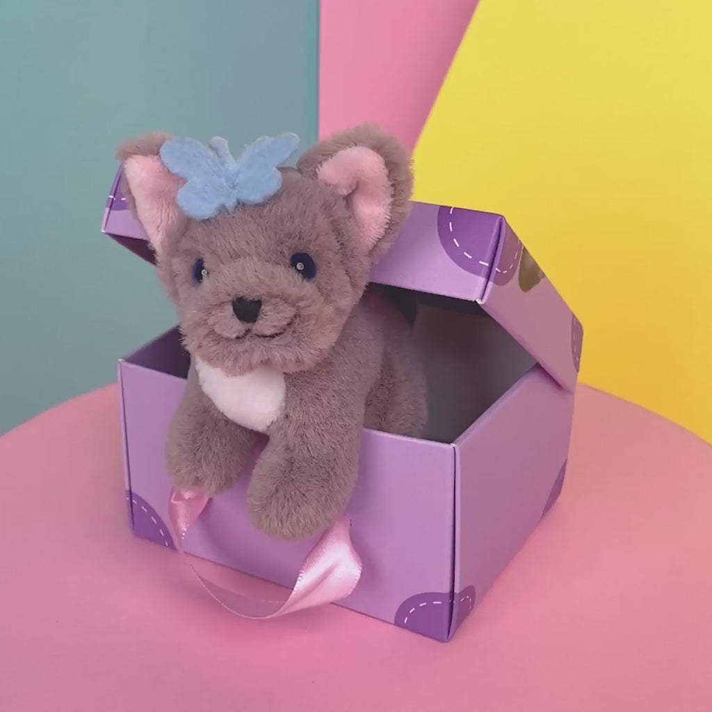 Mini BiBi