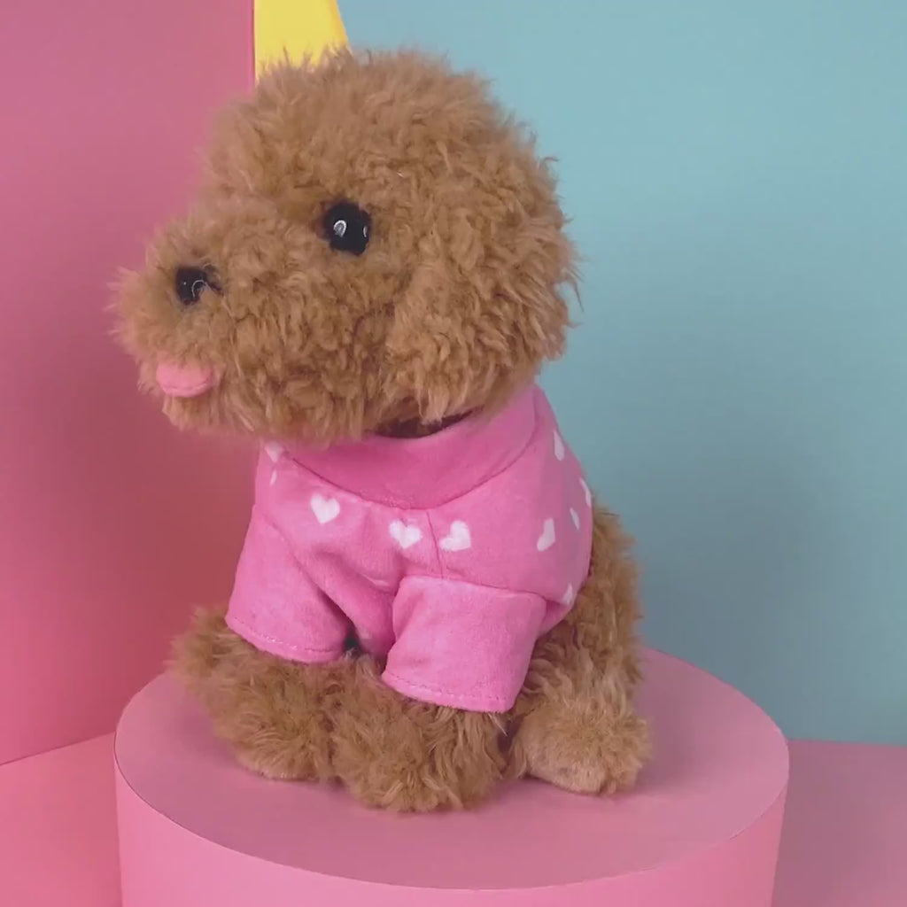 Cookie (23cm)