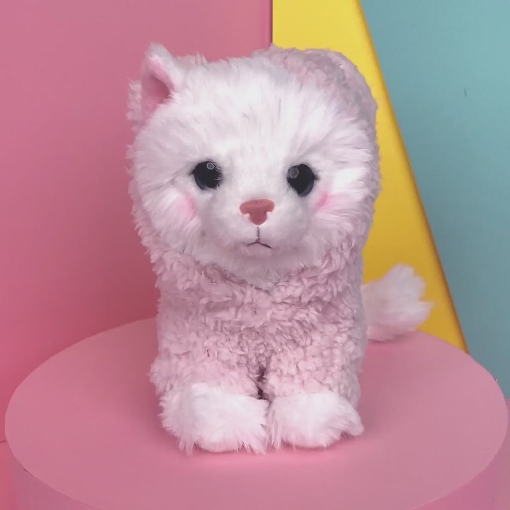 Mousie Plyšové kotě – ragdoll 16 cm – sada s kufříkem