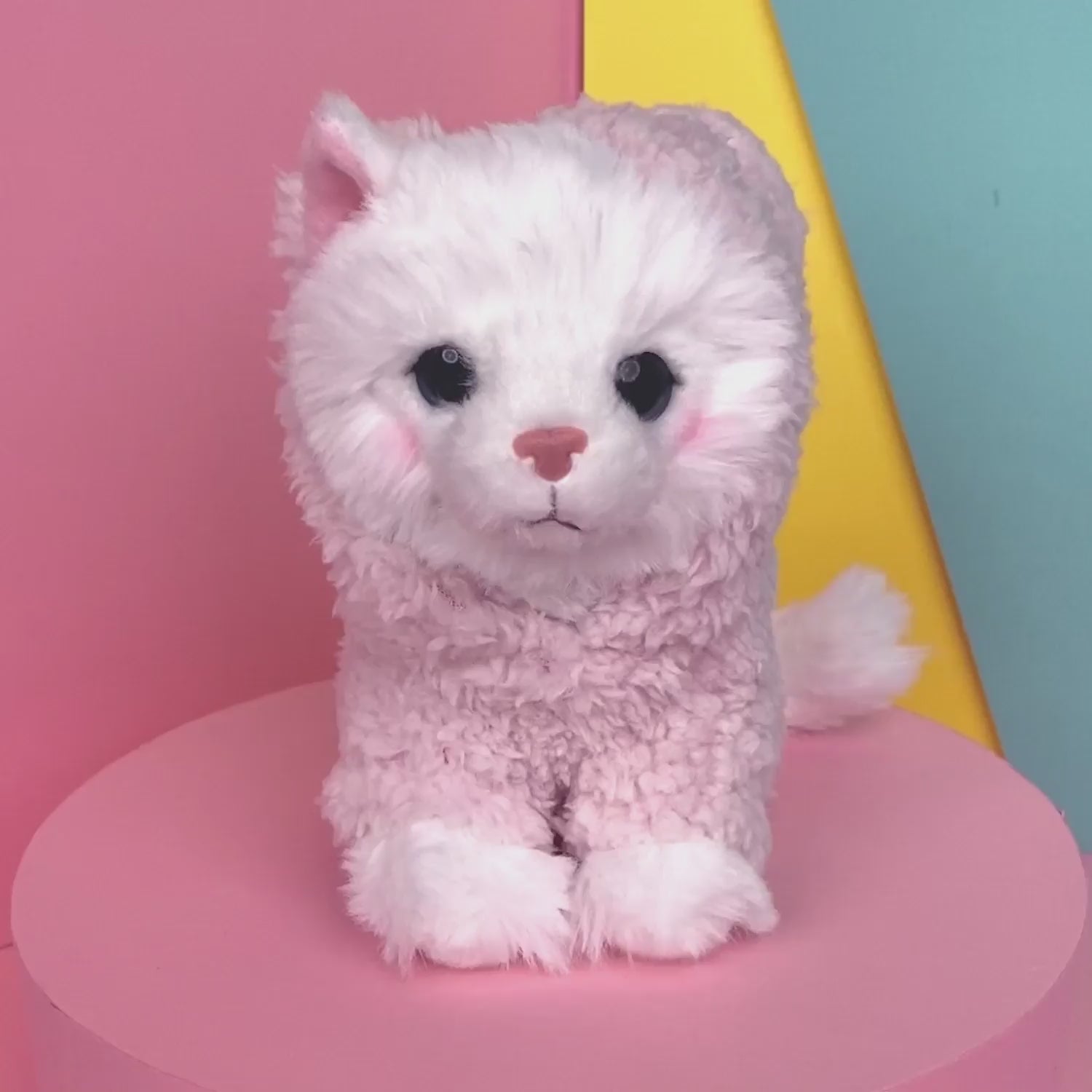 Mousie Plyšové kotě – ragdoll 16 cm – sada s kufříkem