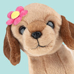 Daisy (16cm)
