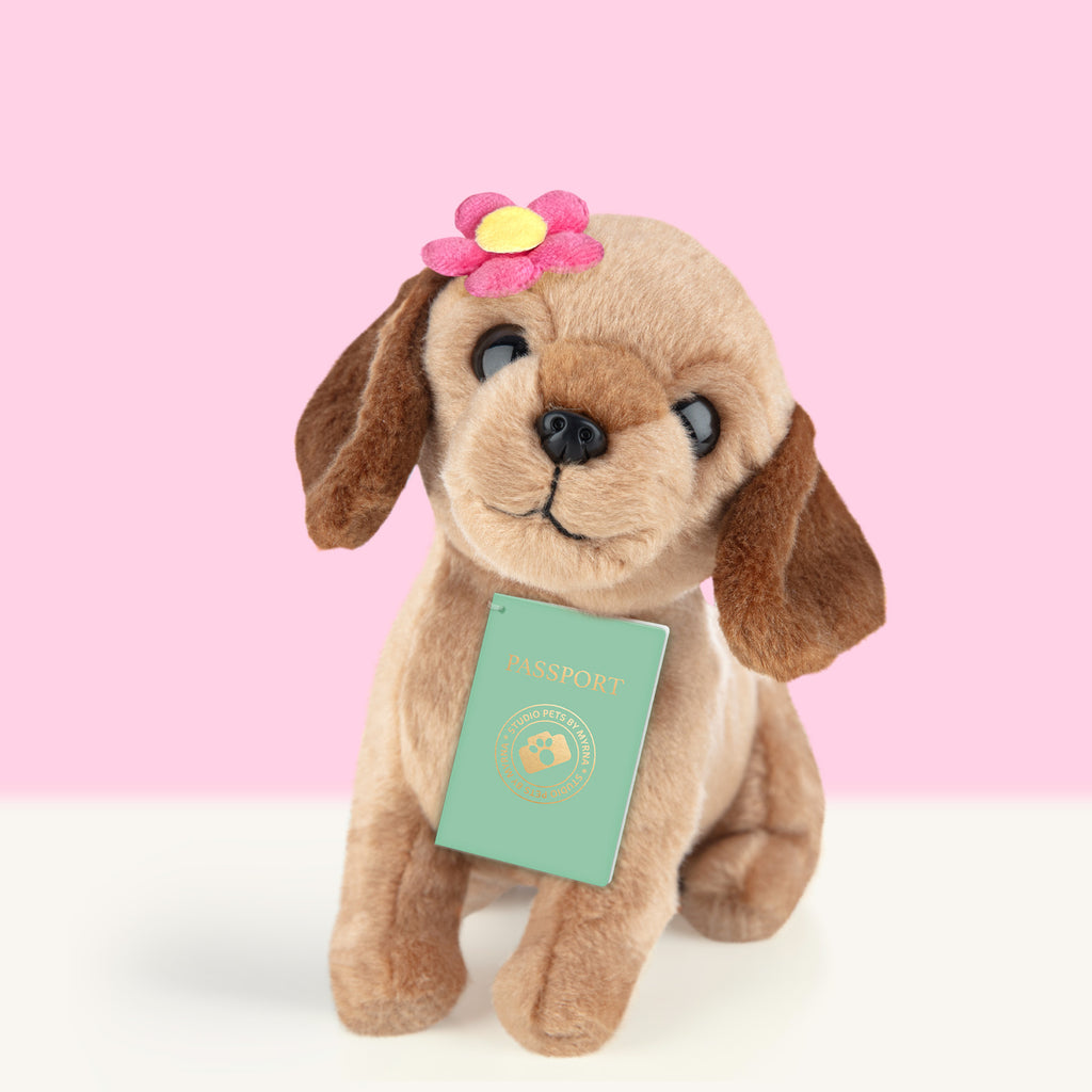 Daisy (16cm)