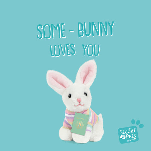 BunBun (8cm)