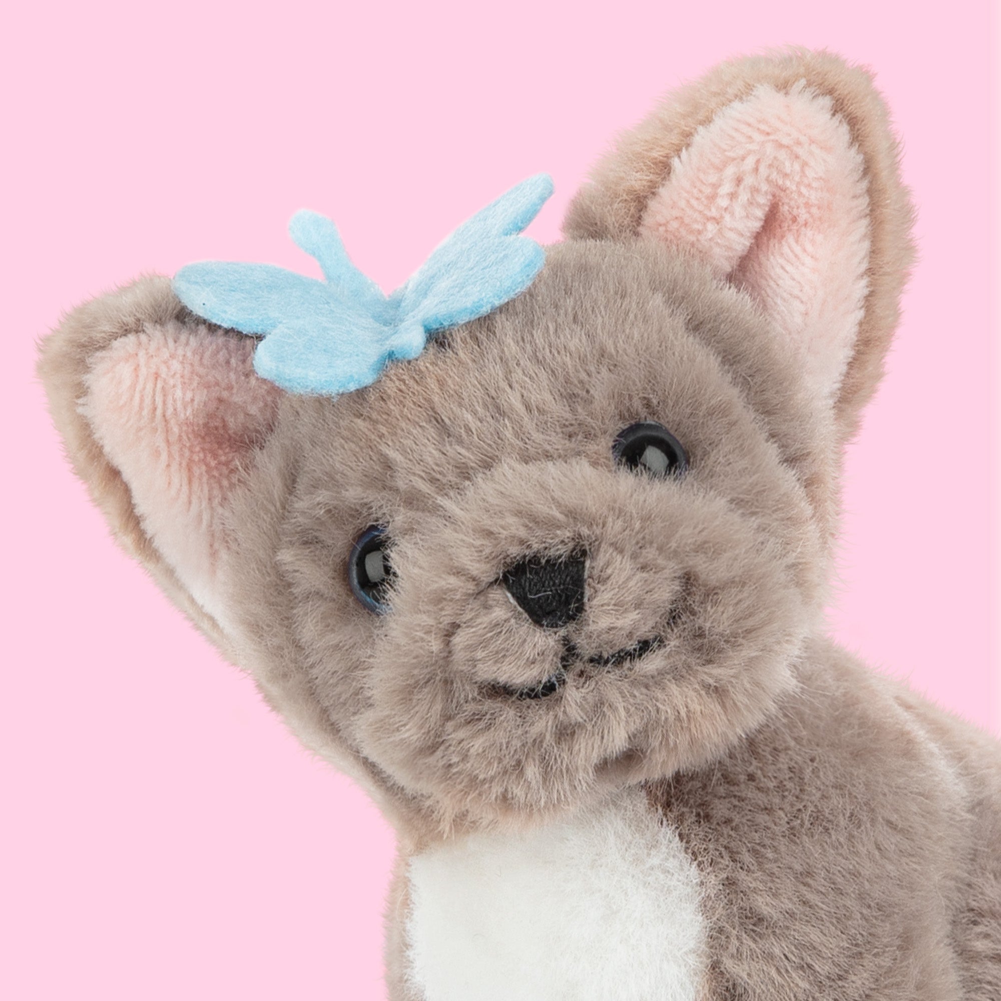 Mini BiBi