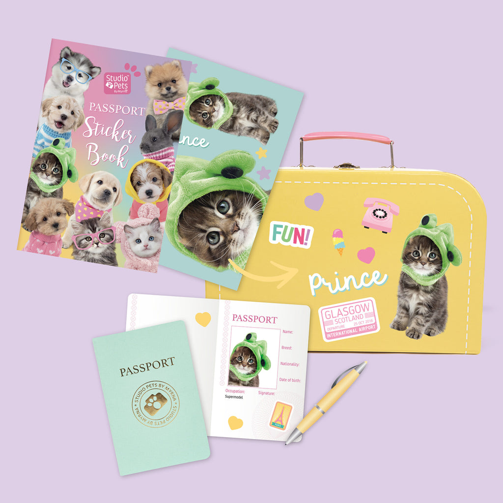 Prince Plyšová kočka Maine Coon 23 cm – Set s kufříkem