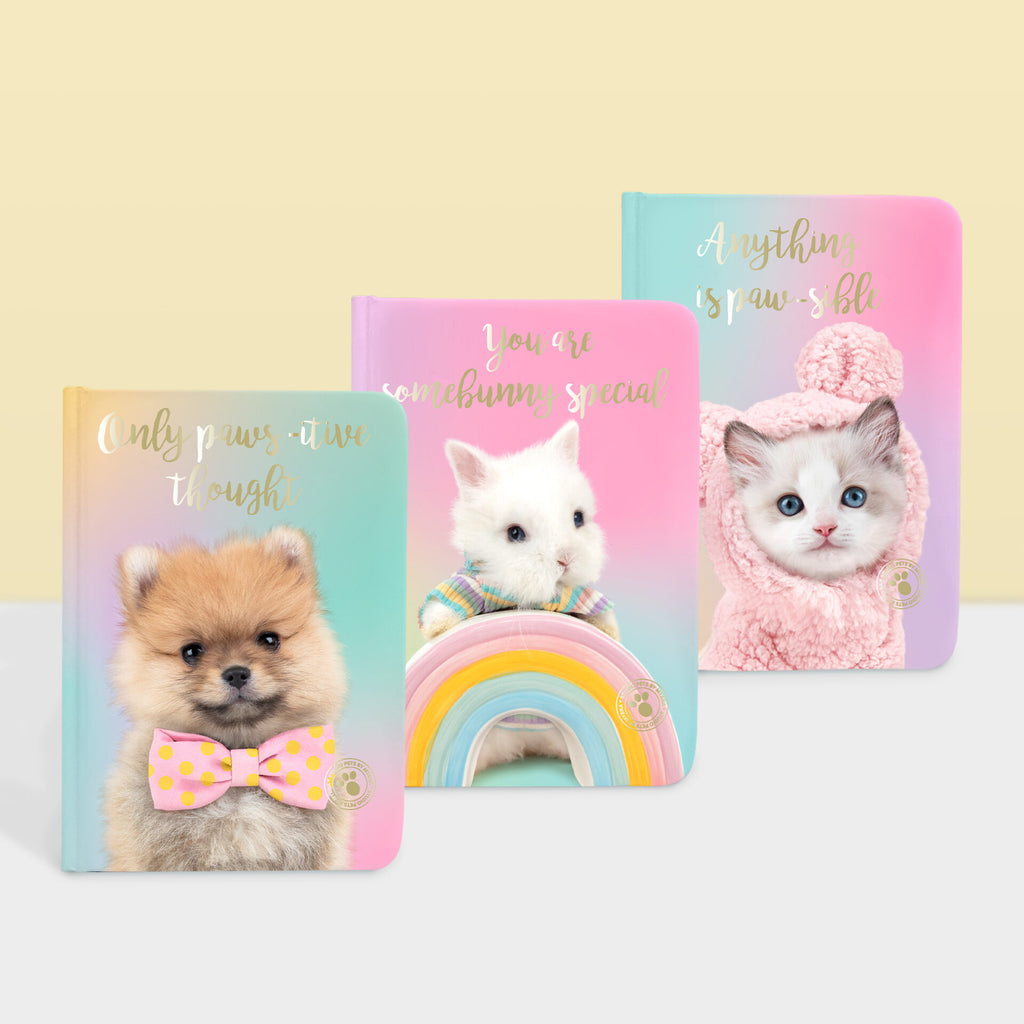 Poznámkový blok s perem A6 Pomeranian PomPom Edice