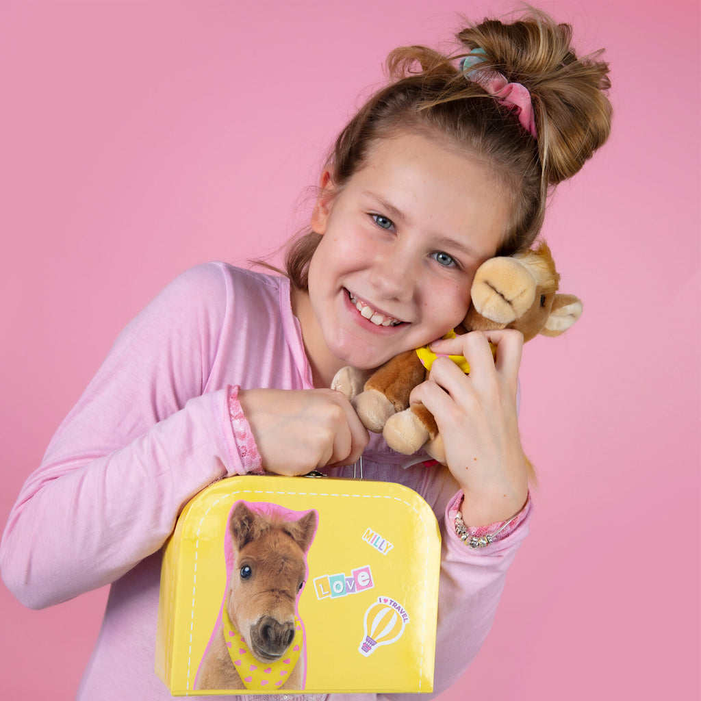 Milly Plyšový koník – shetlandský pony 16 cm – sada s kufříčkem