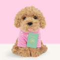 Cookie (23cm)
