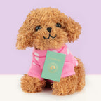 Cookie (8cm)